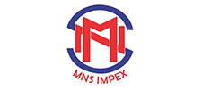 mns-impex-logo